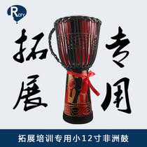 Ruichi Feiyang expansion training special 12-inch expansion African drum Indonesia imported djembe Gold Cup Golden shell tambourine