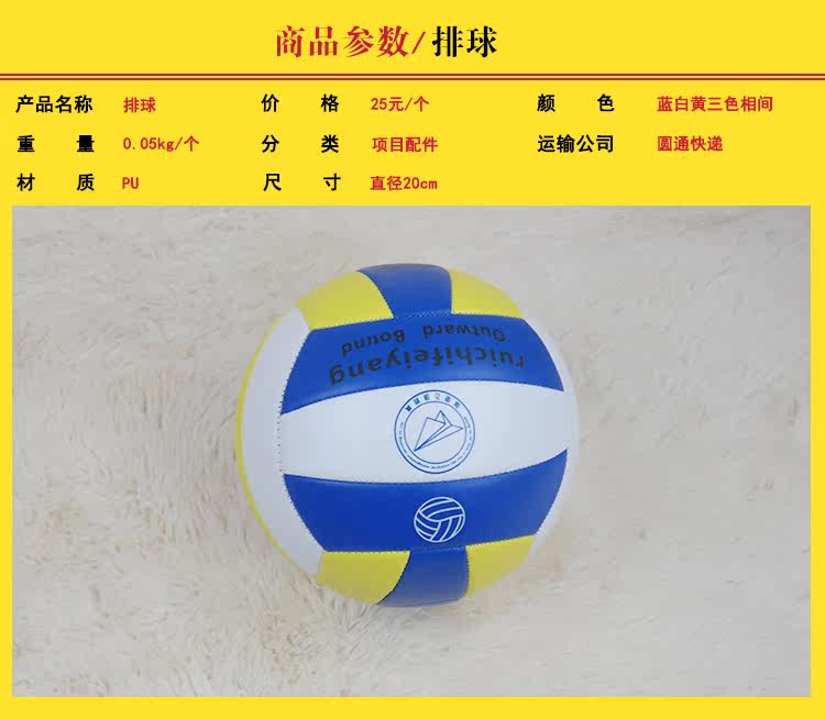 Ballon de volley-ball - Ref 2012559 Image 15