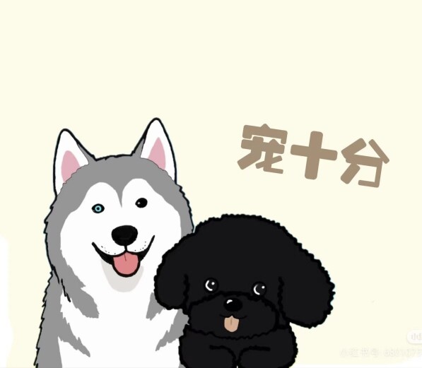 宠十分