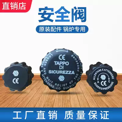 Boiler iron safety valve electric heating steam boiler iron special accessories pressure relief valve factory original parts