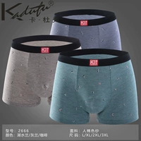 Kadoff nam mới boxer khóa 2666 màu sợi phương thức U lồi thanh niên nam boxer quần short đầu nam noi y cao cap