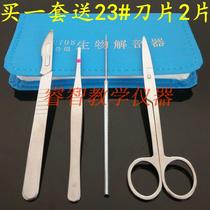 Biological dissector four-piece set of 4-piece specimen making tool scalpel dissection needle teaching instrument