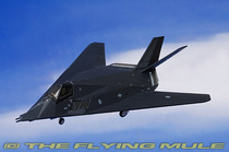 Hogan 6498 1 200 US F-117A HOLLOMAN AFB 49TH FW US flag bottom