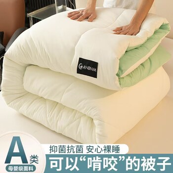 2025 New Quilt, Winter Quilt, Cotton Quilt Core, Thickened for All Seasons, Warm Spring and Autumn Quilt, Children's Single Air-Conditioning Quilt for Winter Use