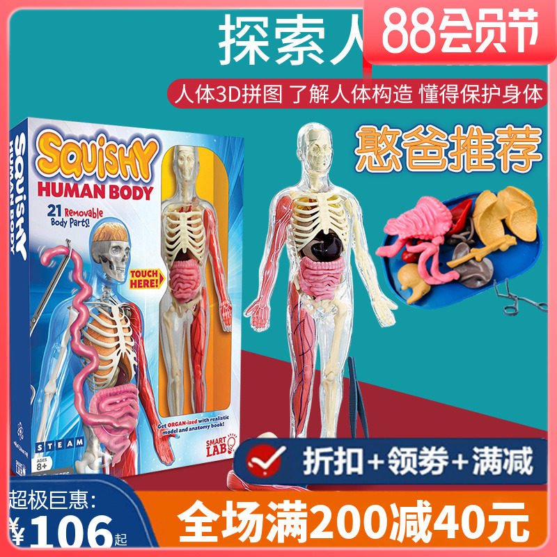 American smartlab explores the human organ model of internal organ children assembly science experimental jigsaw 3D solution