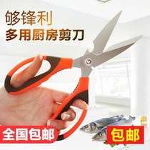 Multifunctional kitchen scissors stainless steel household scissors to kill fish scraping scales chicken bones strong food scissors