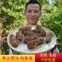 Wild chicken bone grass vine 500g farm specialty edible chicken bone grass acacia leaves Guangdong soup ingredients Dried food