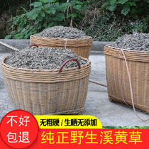 Wild Xihuang Cao 500g Sun-dried sulfur-free Xihuang Cao Tea Bitter Gan Dew Rattan Tea Rattan Po Tea Back Gan Throat tea Qinghuo Tea