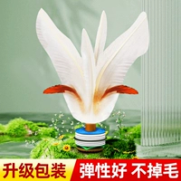 Dabai 运动 大 大 大 大 大 毽 毽 毽 毽 毽 毽 毽 毽 毽 毽 毽 毽 毽 毽 毽 毽 毽 毽 毽 毽 毽 毽 毽 毽 毽 毽 毽 毽 毽 毽 rectaint sceee