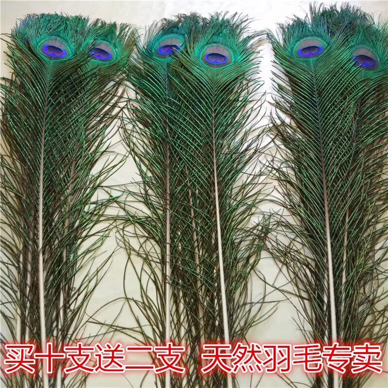 Home Decoration Ornaments Peacock Feathers Pure Natural Real Peacock Feathers Vase Decorations Peacock Tail Feathers Wedding Feathers