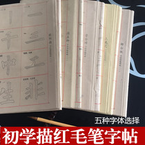 Cao Quanbei official book Red Rice Paper 28 grid wool edge paper copy beginner practice rice paper primary school entrance