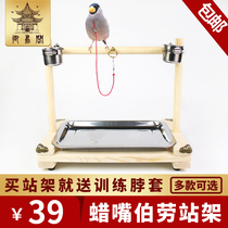 Solid wood training bird station shelving burqa buru painting brow parrot 8 gowns Goobird neck set with pepper wood station stick
