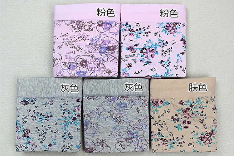 Slip AB-0118 en coton - Ref 642822 Image 32