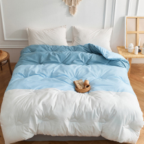 202 New Winter Quilt Air Conditioned Quilt Dormitory Single Student Thickened Warm Childrens Spring Autumn and Winter Quilt Core Bedding