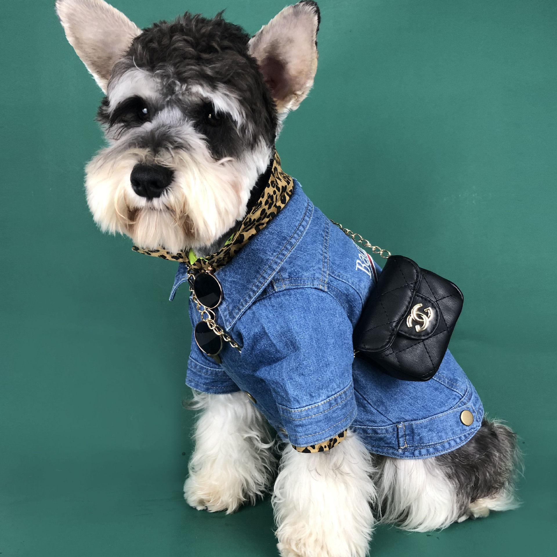 Pet cat dog accessories dog carry bag fight Sherina small and medium dog outbookcase package skinny bag bag