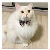 Чокер, галстук-бабочка с бантиком, шарф, милый аксессуар