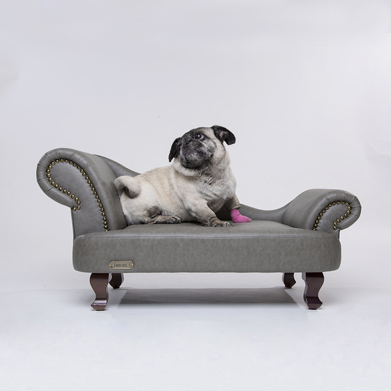 Little Prince star full leather dog chaise longue sofa chair wooden export quality scratch-resistant waterproof non-stick hair sofa bed