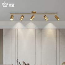 Total Copper Living Room No Main Lamp Home Shop Commercial Rail Light Ceiling Lamp Cloakroom Lighting Fitted Spotlight Suction Top