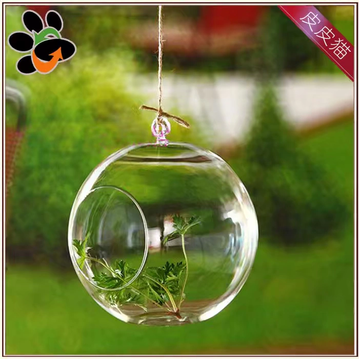 Pippi mèo sáng tạo treo khung sắt thủy tinh treo chai micro cảnh quan sinh thái chai trang trí nhà bóng bình - Vase / Bồn hoa & Kệ