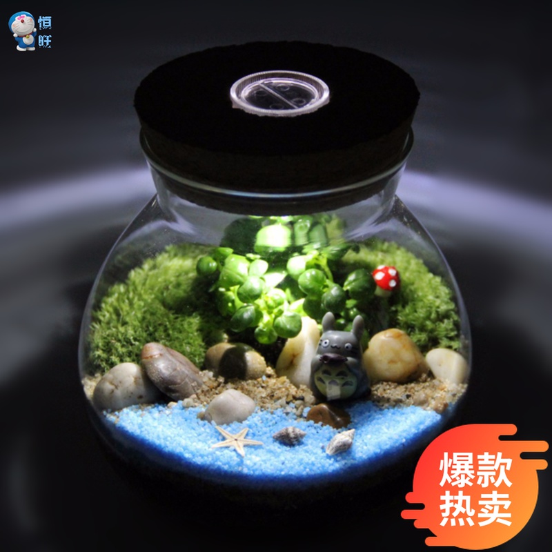 Moss Microscape Mini Creative Gift Hem Moss Eco Bottle 13 5 Wood Stopper With Light Suit An Inch Space