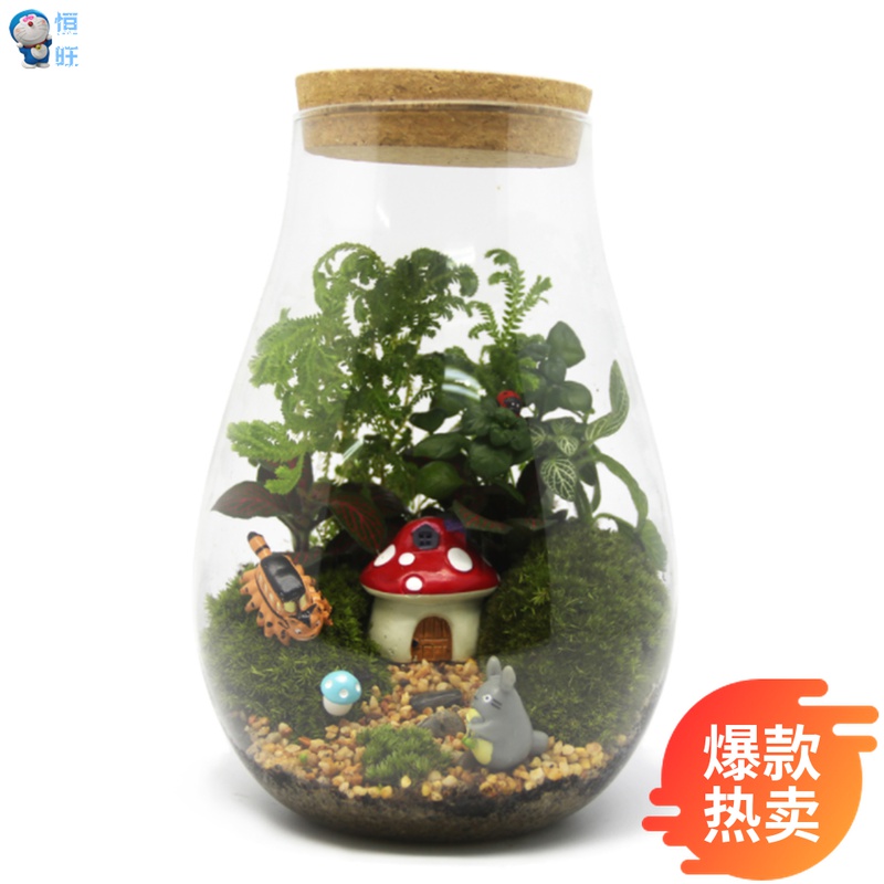 Moss Microscape Creative Gift Pendulum Piece Green Plant Moss Eco Bottle Drop Bottle Plant Small World Cozy Little Room