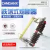 Dropout fuse RW11-10KV 200A high voltage dropout switch 12KV Lingke insurance fuse tube