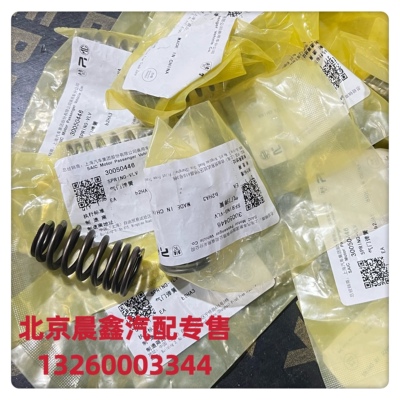 上汽大通 Пружина клапана G10/G20/D90/T90/T60 Roewe MG 20L4E