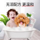 Teddy Shower Gel Deodorant Beauty Hair Mites Long-lasting Fragrance Pet Bath Liquid Red Brown Special Dog Supplies