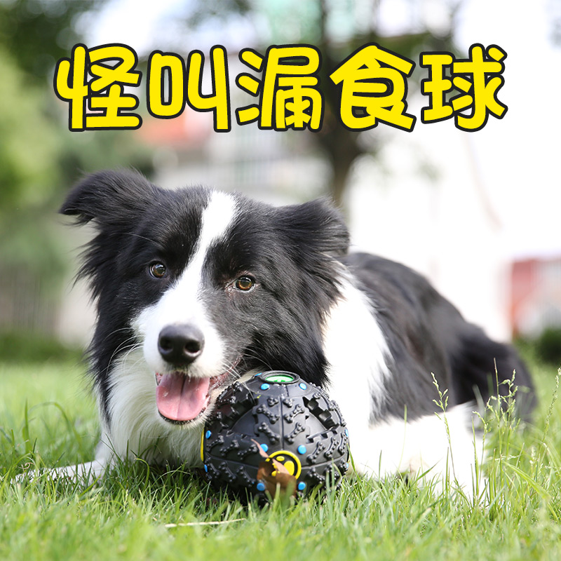 Missed Foodball Pooch Toy Puzzle Training Freak called the ball kitty universal Pets resistant to bite and loss of dog toy