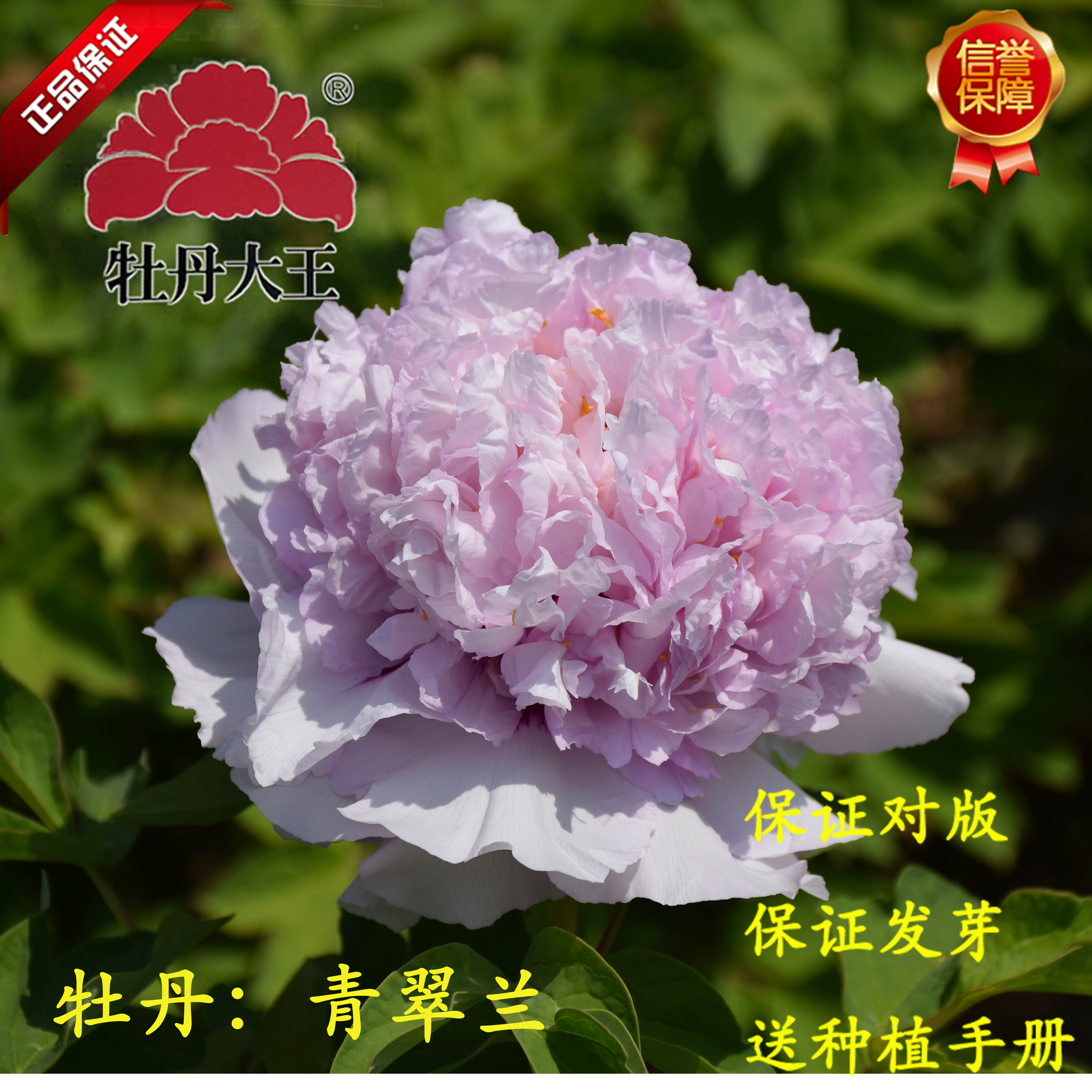 菏泽暑期旅游跟团游，哪些坑千万别踩？