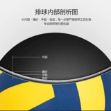 奥韵 Старшепендия для начинающих студентов для начинающих для начинающих, студентов для начинающих, обучение студентов с мягким волейболом, специальный мяч