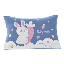 A pair of non-cotton pillow covers for men with gauze plus thickened pillow covers for all seasons students adult European style couple cover