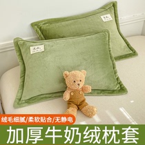 New milk velvet pillowcase for home use one pair 48×74cm inner sleeve warm and thickened pillow core single autumn and winter style
