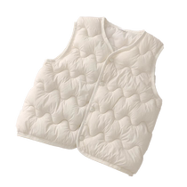 Childrens vest autumn and winter 2024 new style boys fleece vest outer wear baby vest warm inner small cotton jacket