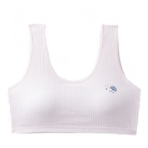 Junior High School Students Seamless Girls Underwear During Puberty and Development Period Anti-bulge Comfortable Wireless Small Vest Girls Bra