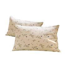 A pair of ins style floral pillowcases non-pure cotton cotton dormitory single pillowcases childrens large size pillowcases