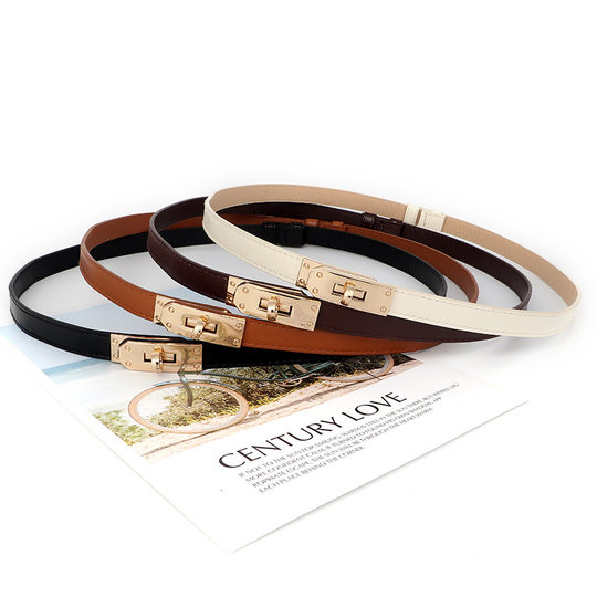 Versatile Women's Thin Belt 2025 New Style Waist Cincher Decorative Suit Belt for Dresses and Jeans with Waist Chain