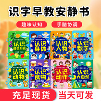 Recognition Enlightenment Early Education Quiet Book Recognition Small Card Hand-Teared Book Kindergarten Baby Recognition Artifact Educational Toy