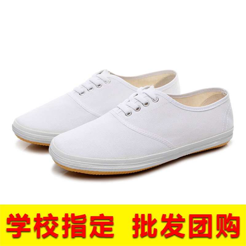 White Sneakers for Men and Women, White Mesh Shoes, Dance White Canvas Shoes, School Gymnastics Shoes, Sneakers, Non-Slip Breathable Martial Arts Shoes