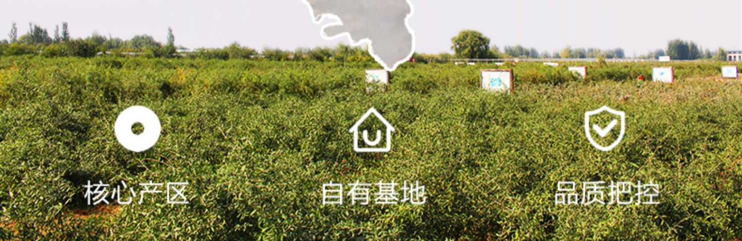 头茬新货！正宗宁夏特级构杞500g