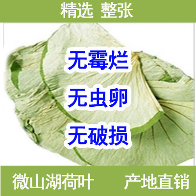 Selected whole dried lotus leaf super wild fresh Weishan lake pure natural lotus leaf tea 500g tea