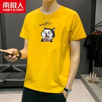 13_ 1 1 1 короткий