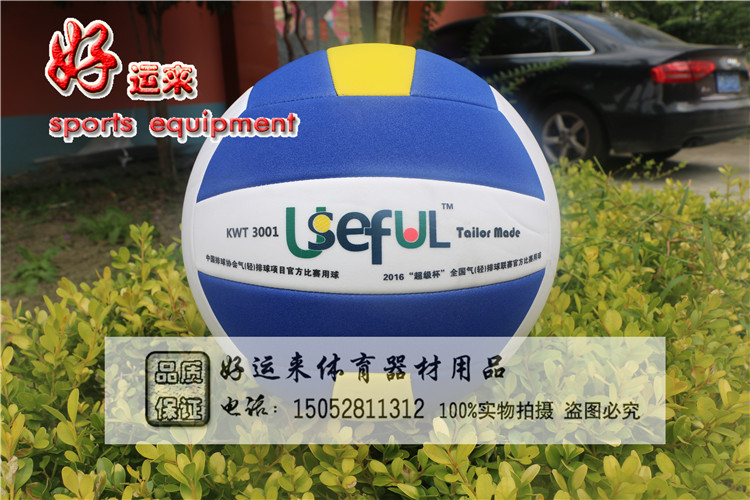 Ballon de volley - Ref 2013097 Image 7
