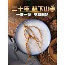 Ginseng wild ginseng Changbai Mountain ginseng wild ginseng in the Northeast forest about 20 years old dried in the sun soaked in wine and cooked in soup