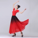 Практика, костюм, шифоновая длинная юбка, градиент