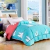 Jiao Dian bông một mảnh bông chăn đơn chăn đôi che 200x230 1.5m1.8x2.0 sinh viên giường m - Quilt Covers Quilt Covers