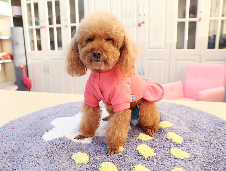 PETCIRCLE thú cưng mèo quần áo chó con chó quần áo Teddy Bomei pháp luật chiến đấu mùa thu và mùa đông mặc váy con chó nhỏ - Quần áo & phụ kiện thú cưng phụ kiện cho chó