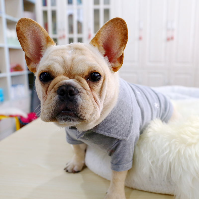 Bago pháp luật chiến đấu quần áo mùa xuân và mùa hè quần áo thú cưng thêu đầy đủ pháp luật chiến đấu POLO áo sơ mi pháp luật con chó béo chó Anh bắt nạt chó - Quần áo & phụ kiện thú cưng quan ao cho meo