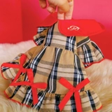 Одежда для щенков осенью и зимнее классическое клетчатое платье плюшевая бим -бим боменг кошка Новая годовалая одежда