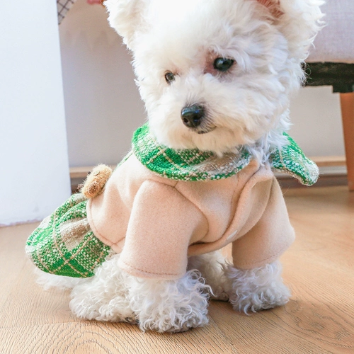 Домашний плюшевый медвежь